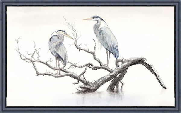 Still Waters' Guardians