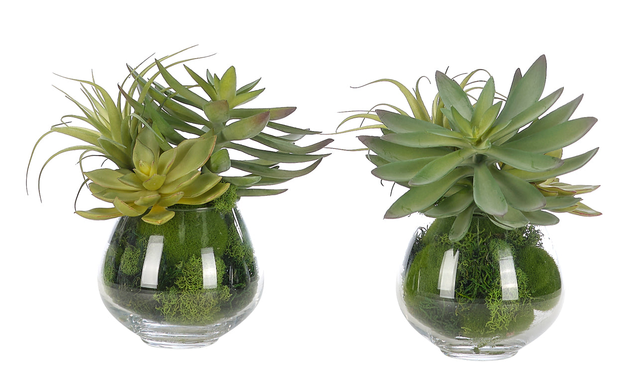 Succulent Green Glass Vase Moss