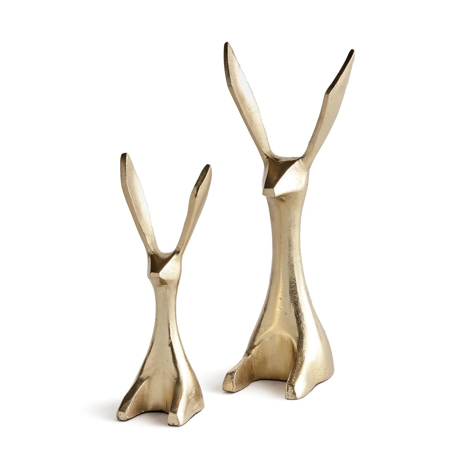 Jack Rabbits