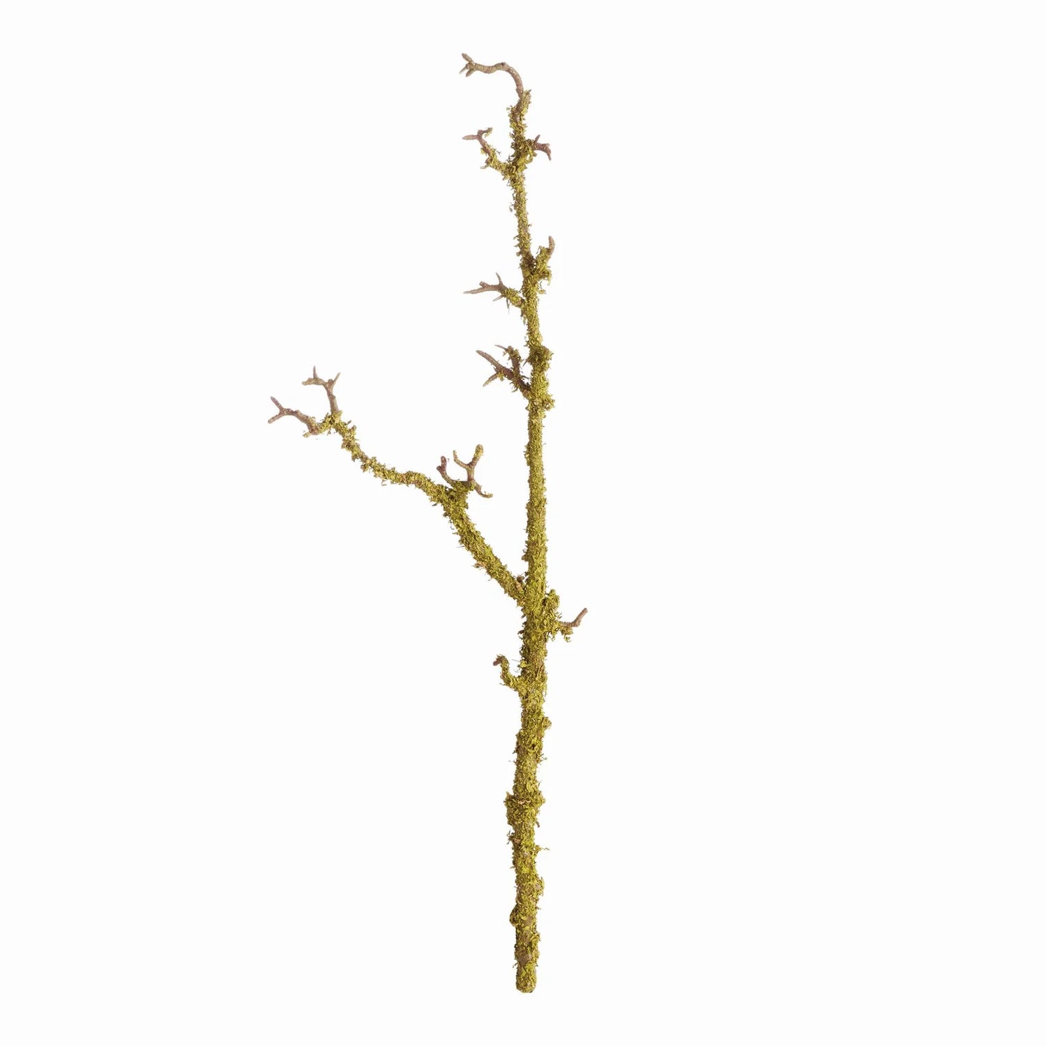 LICHEN BRANCHES 28" ST/2