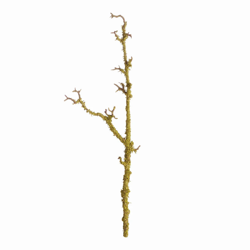 LICHEN BRANCHES 28" ST/2