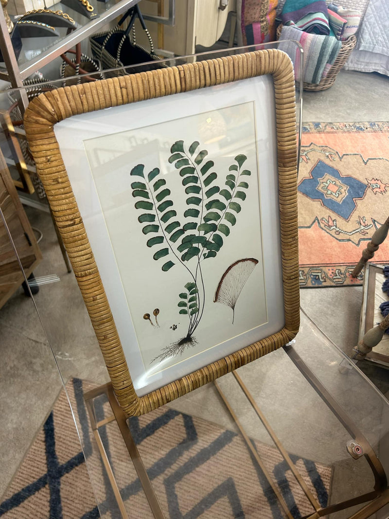 Forest Fern Prints