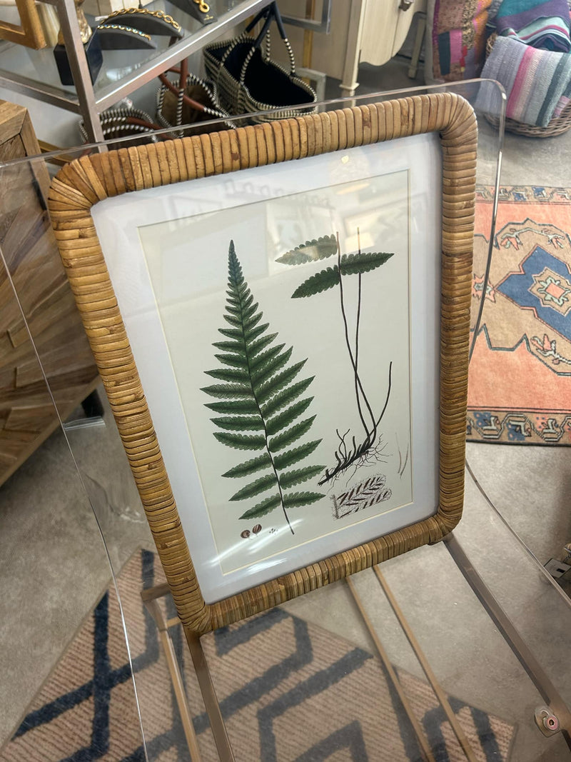 Forest Fern Prints