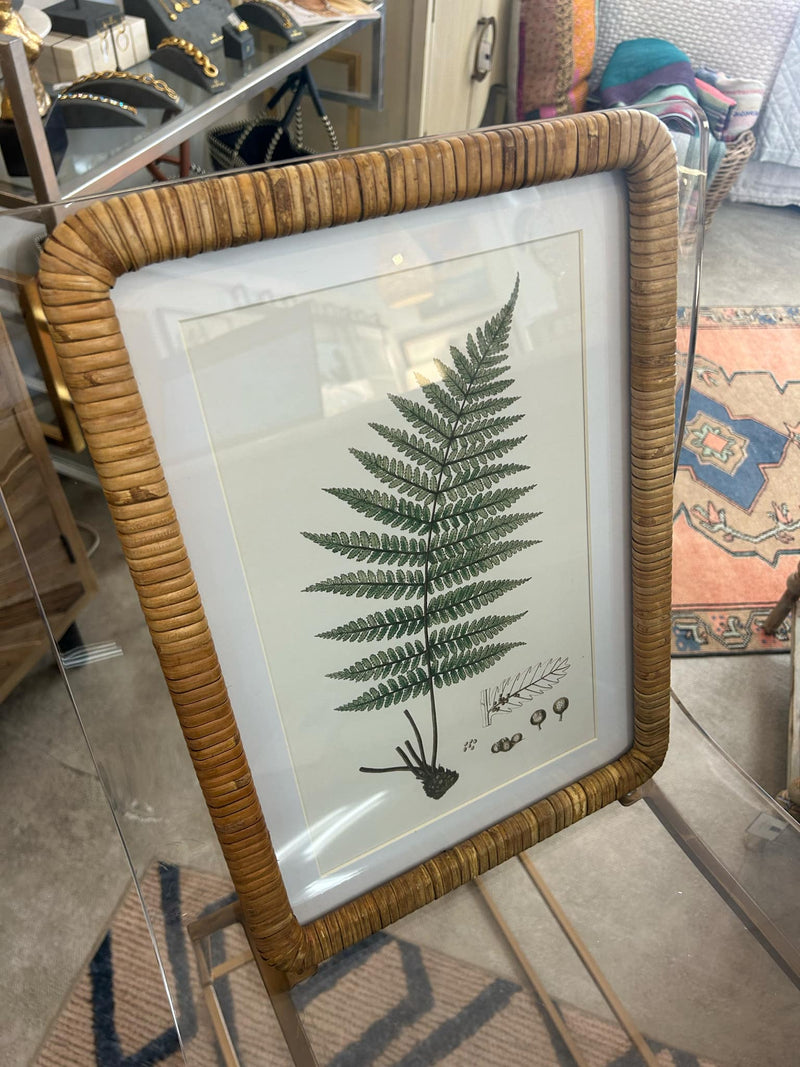 Forest Fern Prints