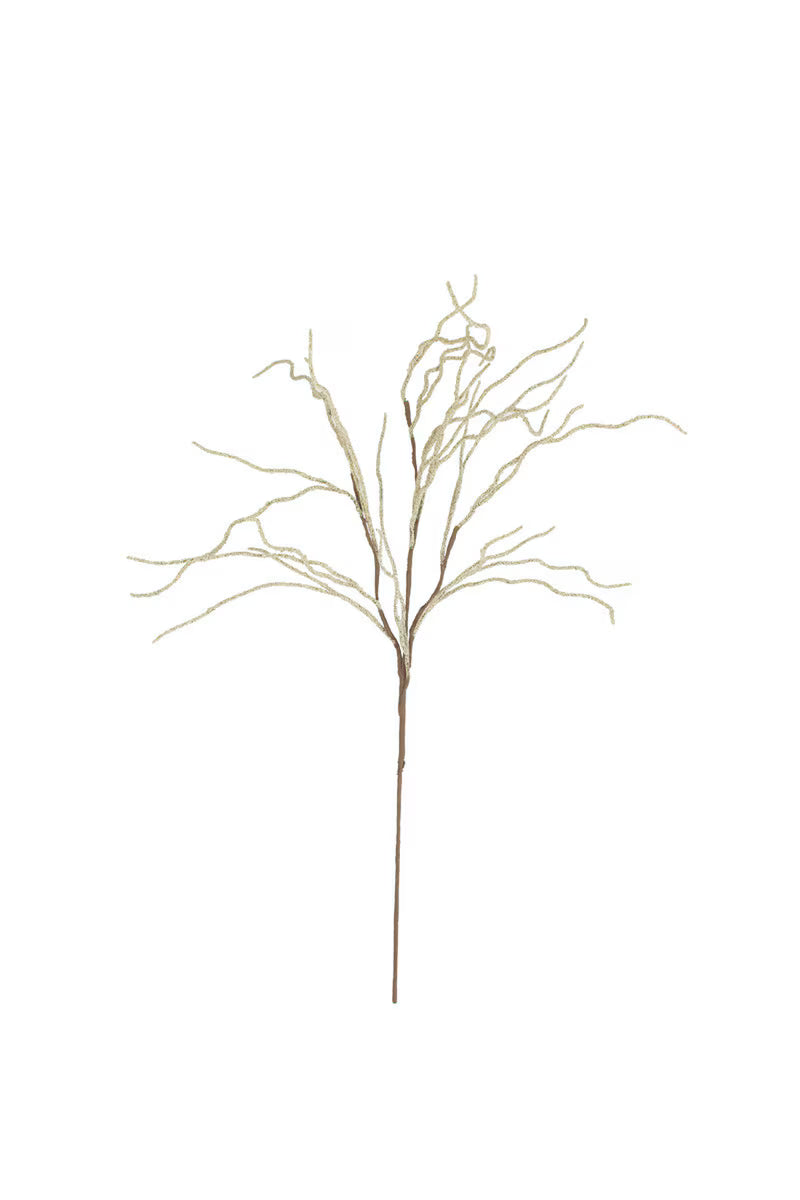 Botanica #9009