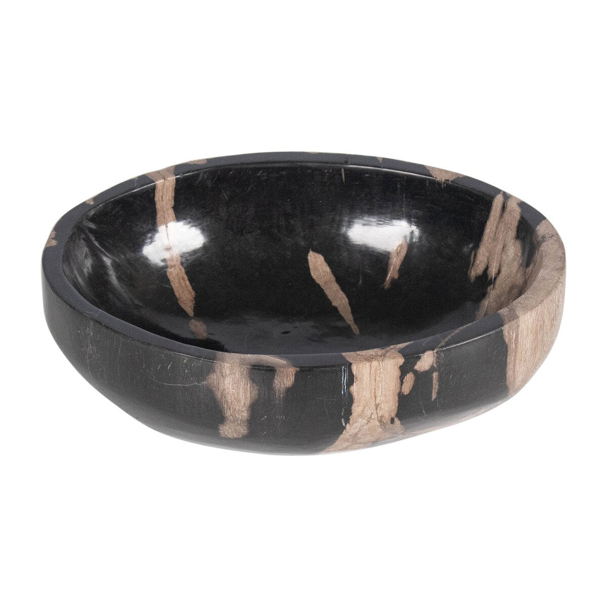 Indigo Road Kiena Oval Carved Petrified Wood Bowl