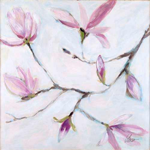 Magnolia