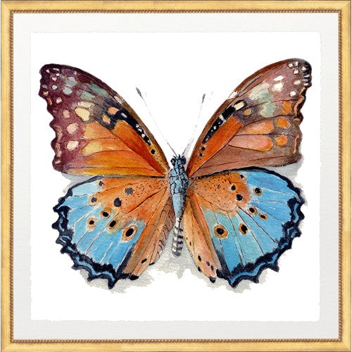 BUTTERFLY 4