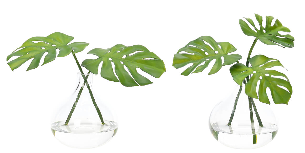 Selloum - Glass Bubble