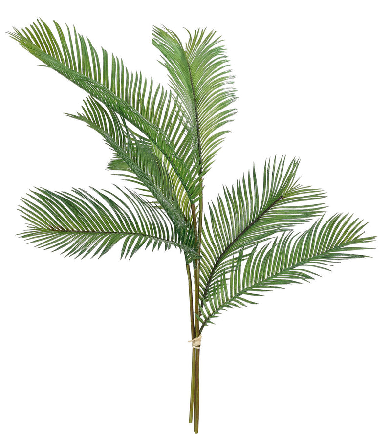 Palm Fern Drop In 15″