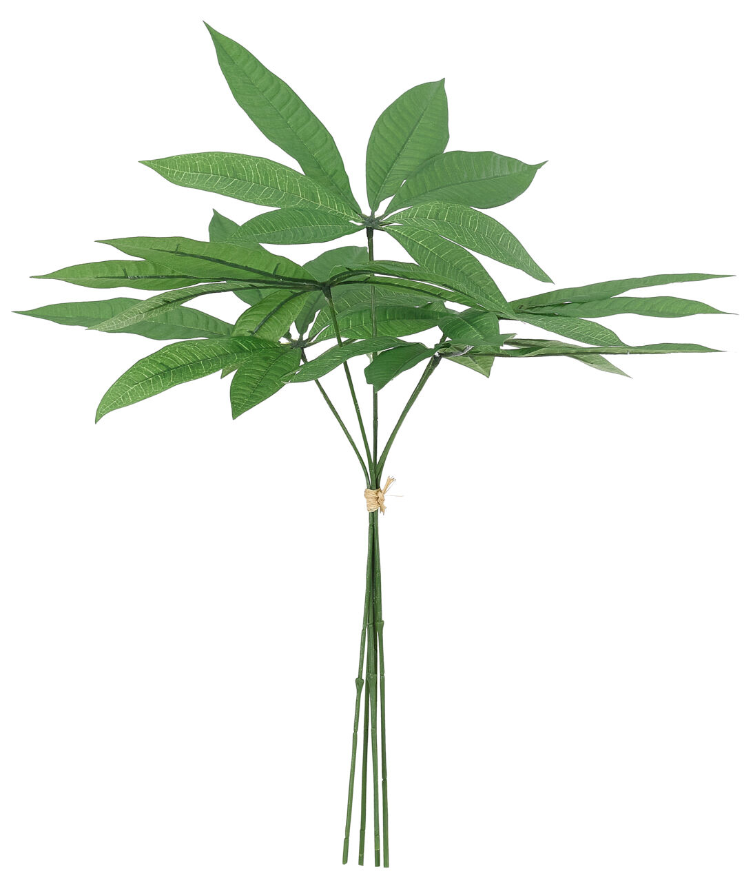Pachira Plant Drop In 19″