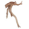 18" Ghostwood Sand Blasted, Dried Manzanita Tree