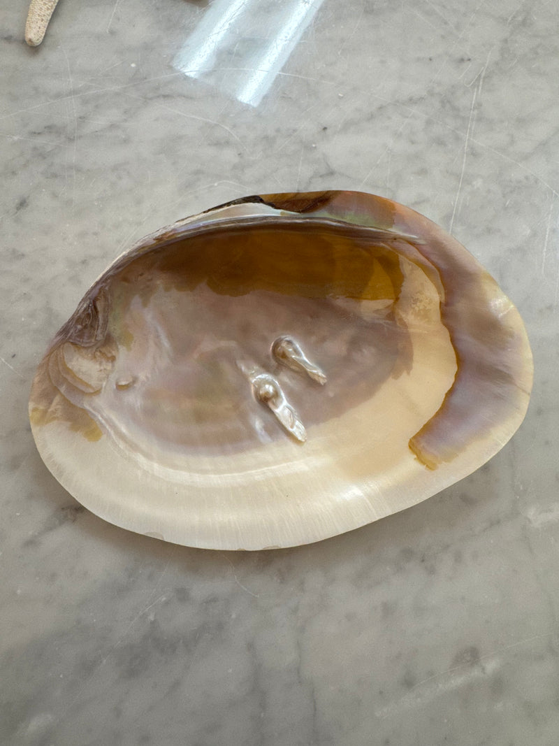 Clam with Blistered Pearl
