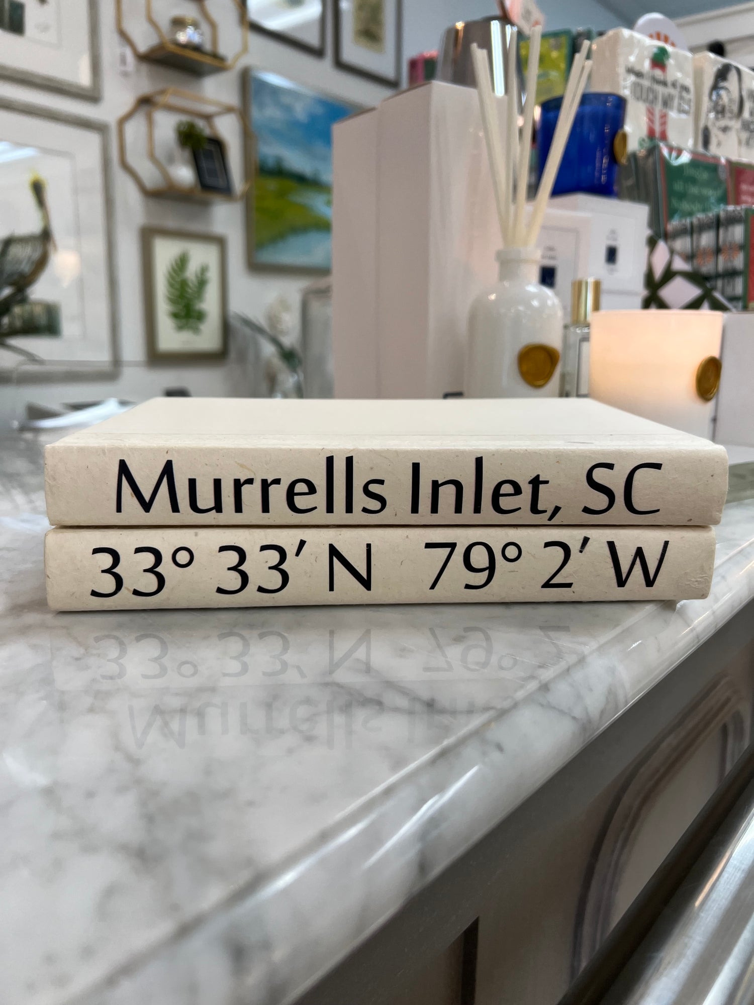 2 Vol City and Coordinates on Cream/Off-White Cover_ Murrells Inlet
