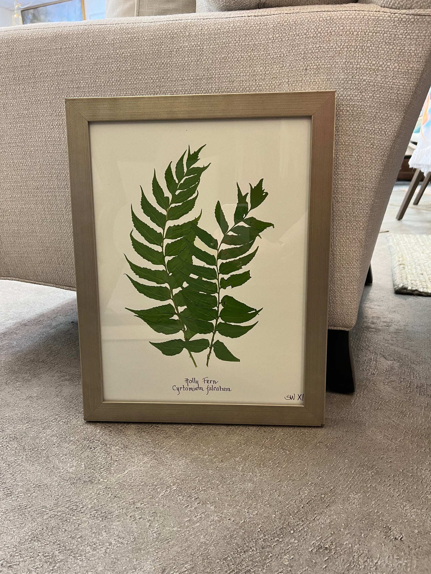 Botanical Fern