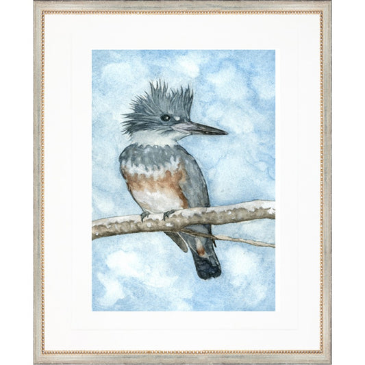 Kingfisher Collection