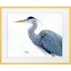 Blue Herons