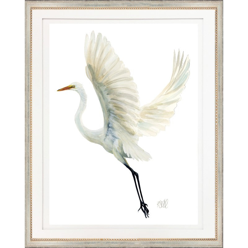Egret II
