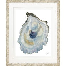 Oyster Shell 13