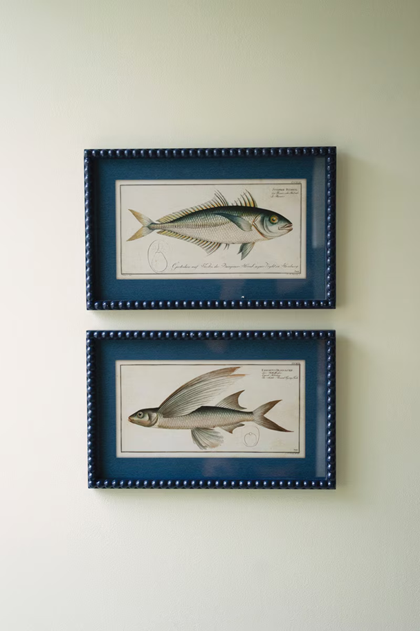 Set of 2 Navy Framed Fish Prints under Glass