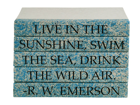 Live In the Sunshine