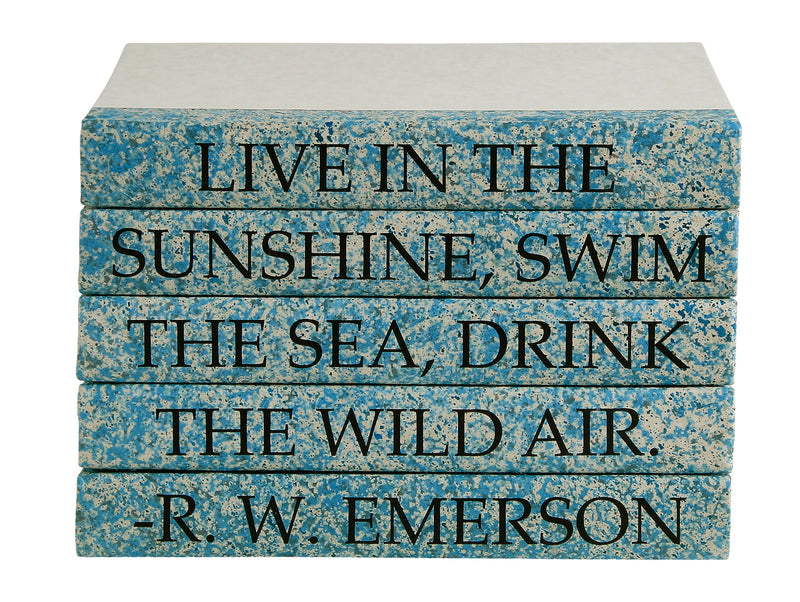 Live In the Sunshine