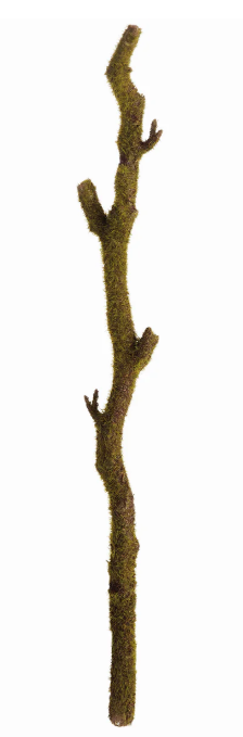 Moss Branches