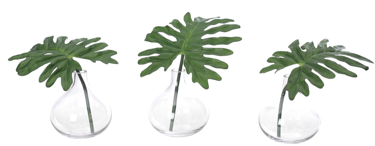 Selluom Leaf