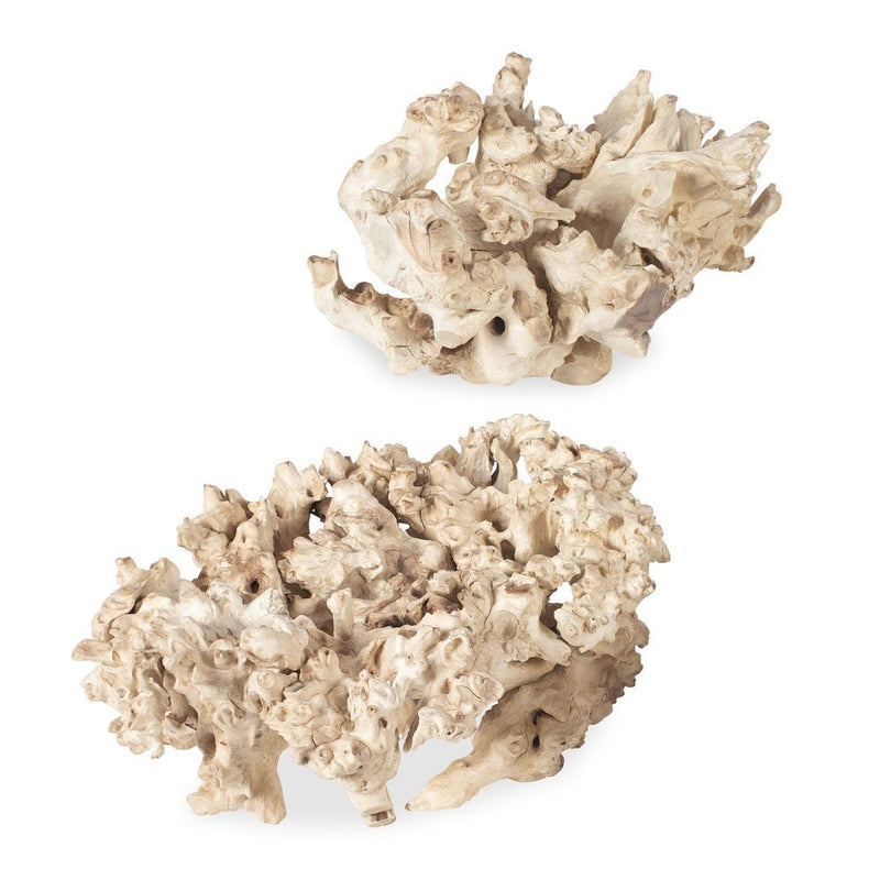 Elemental Root Indoor-Outdoor Sculptures