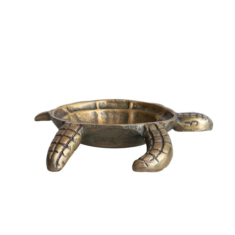 Tortoise Dish