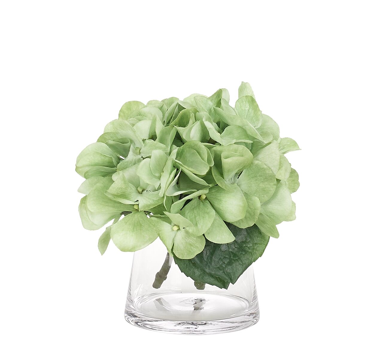 Hydrangea Green Drop In Glass Pyamid