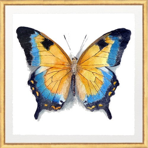 BUTTERFLY 3