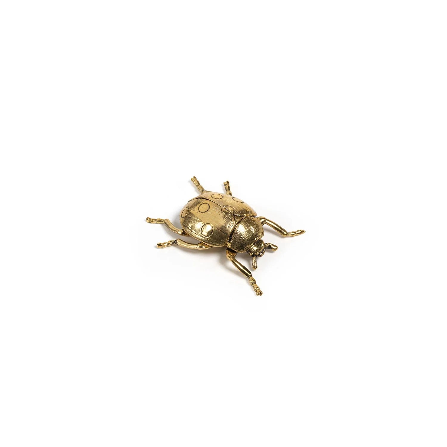 Decorative Gold Insect - Ladybug