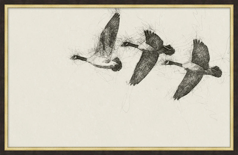 Migrant Flight 1