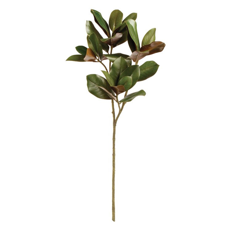 Grand Magnolia Leaf Stem 42.5"