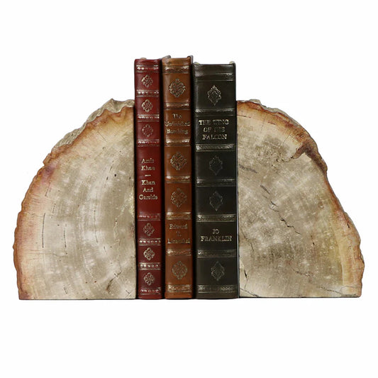 Petrified Book End Pair