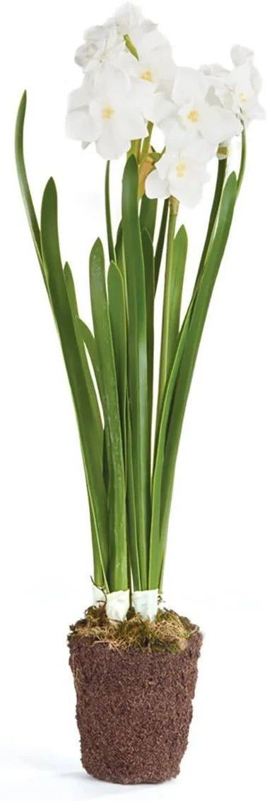 PAPER WHITE 17" DROP-IN WHT