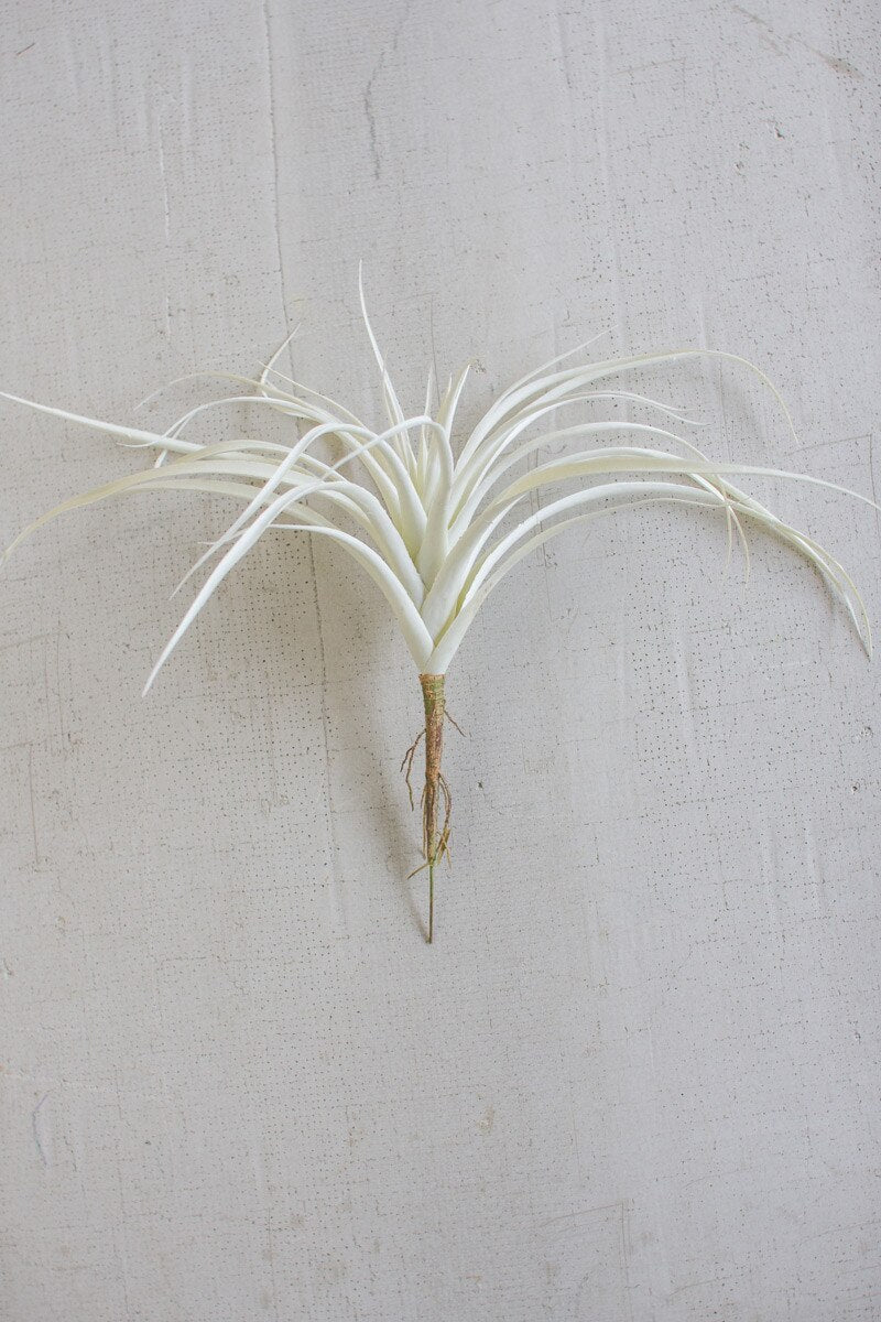 White Air Plant Large