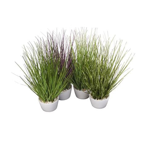 12 " Grass in White Pot