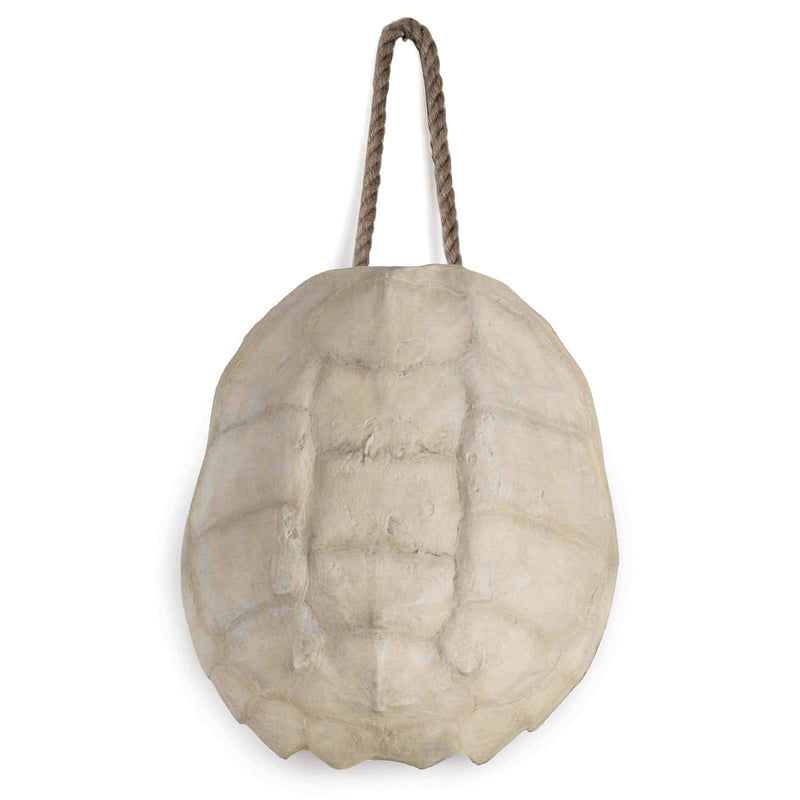 Turtle Shell Accessory