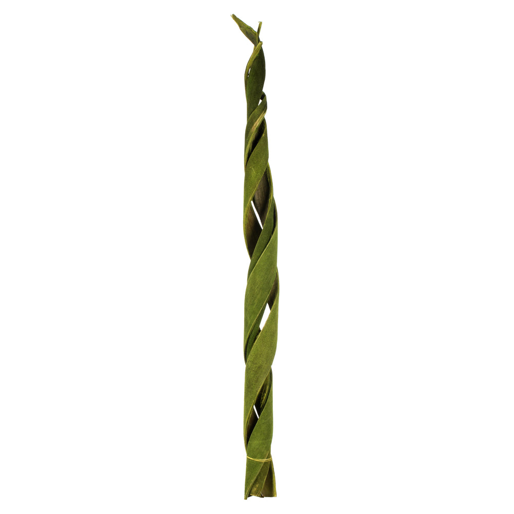 45-48" Curled Basil Coco Velvet Stems