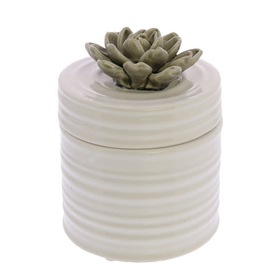 SUCCULENT CANISTER,