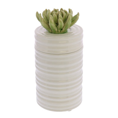 SUCCULENT CANISTER,