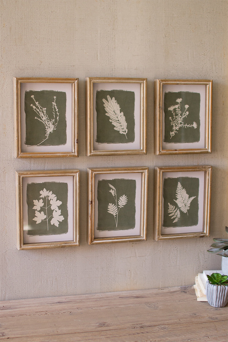 Fern prints under glass