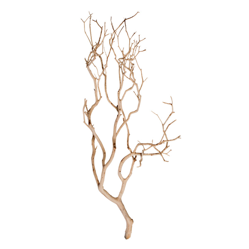 Sand Blasted Manzanita Tree Branch