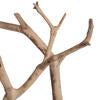 Sand Blasted Manzanita Tree Branch