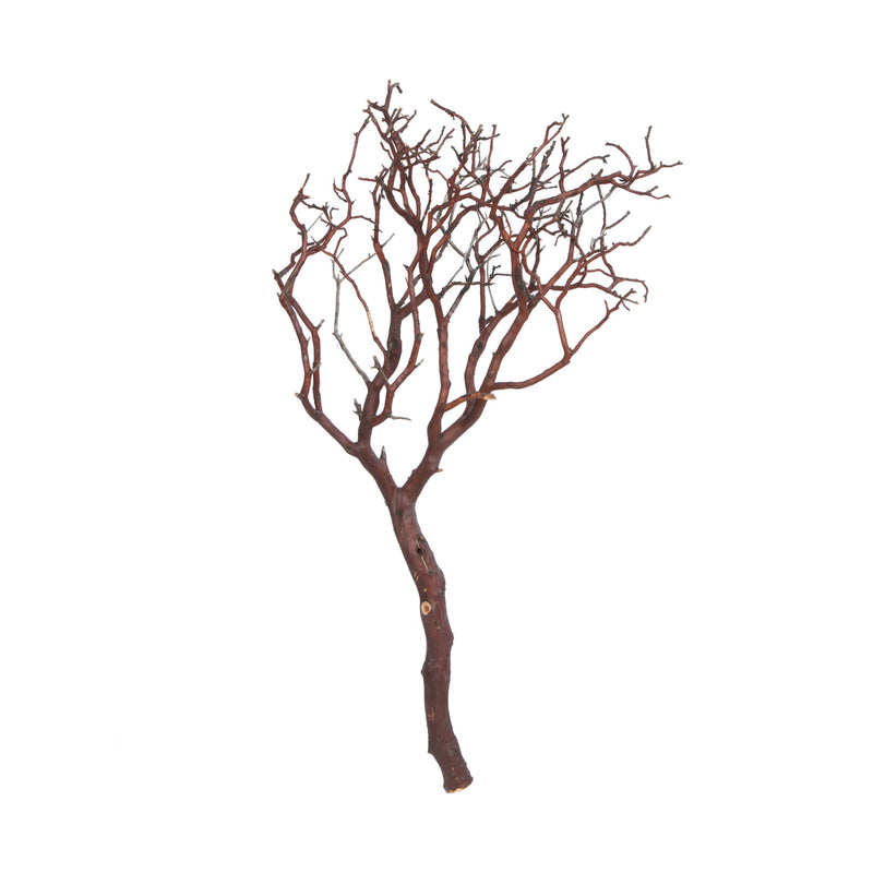 Sand Blasted Manzanita Tree Branch