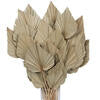 20" Palm Spear Natural