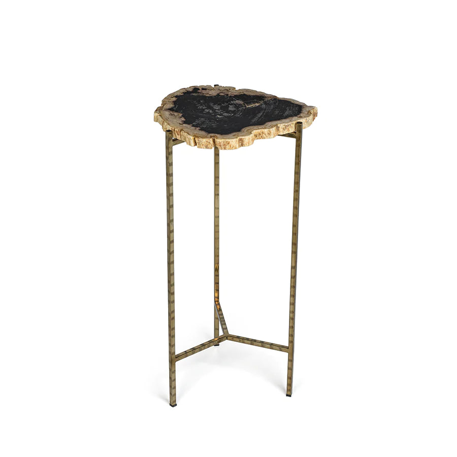 Porto Alegre Petrified Wood Side Table