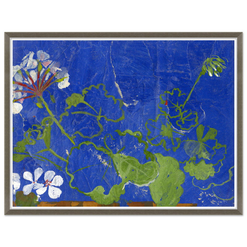 Parivolia, Geraniums